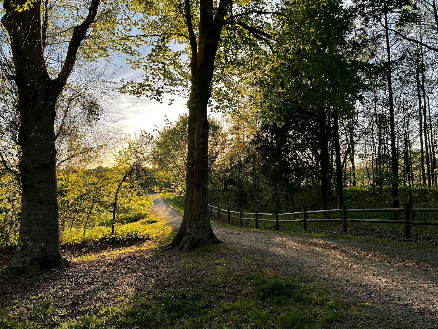 Morehead-2